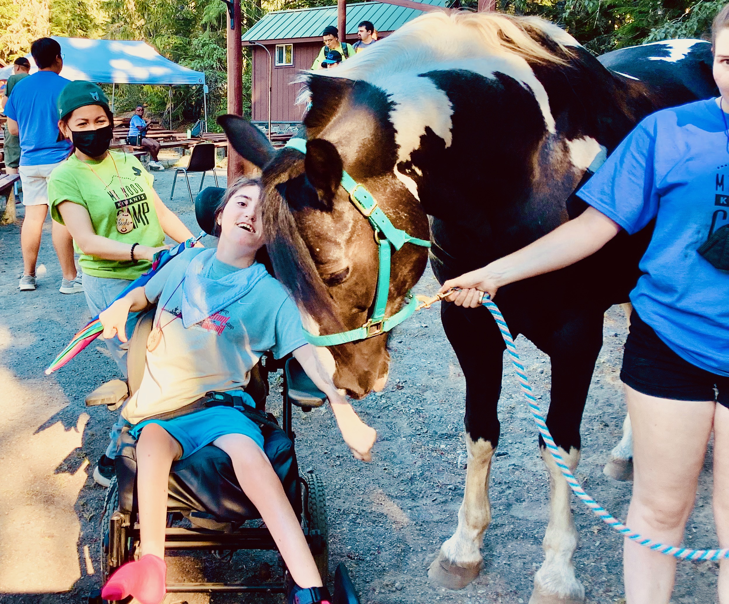 Person in wheelchair petting horse.