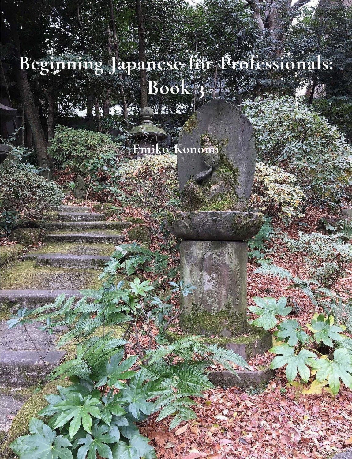 Cover image for Beginning Japanese for Professionals: Book 3