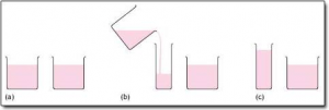 Cognitive Development Human Development