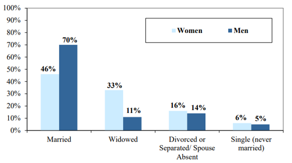 late adulthood development