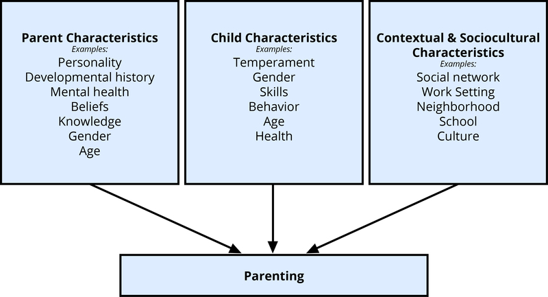 family life cycle essay