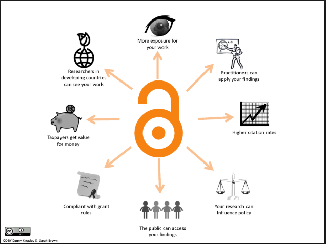 Visual Radial Depiction of the Research Impacts of OA Content