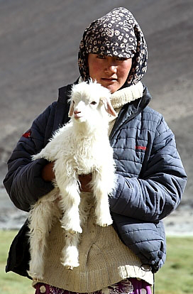 Girl holding Sheep